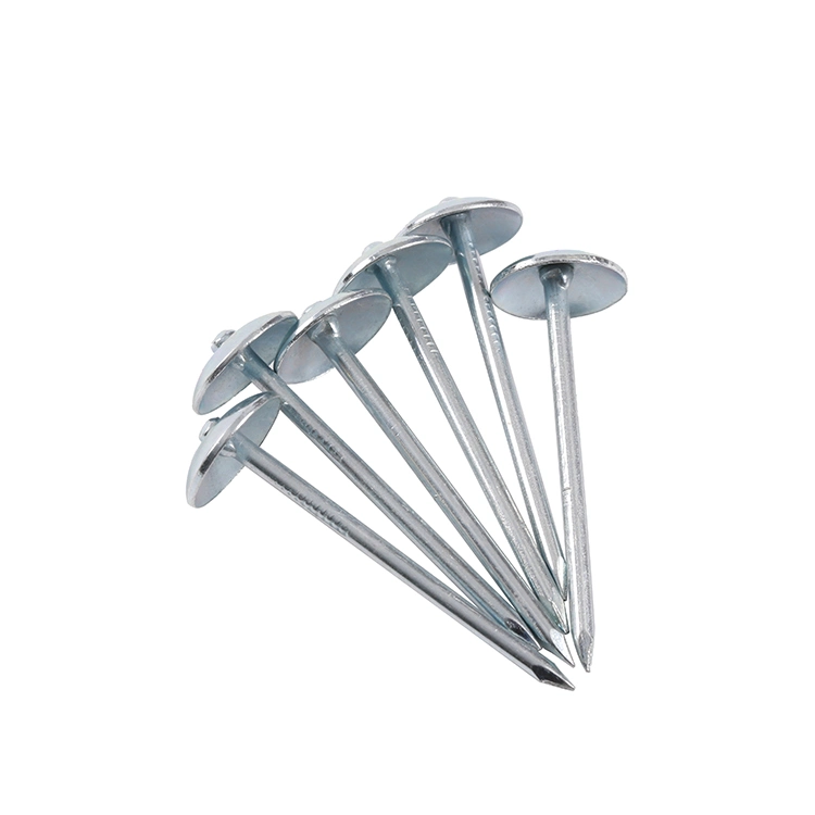 Cheap Price Q195 Roofing Nails Umbrella/Three Star Brand Roofing Nails/2.5inch Low Price Roofing Nails