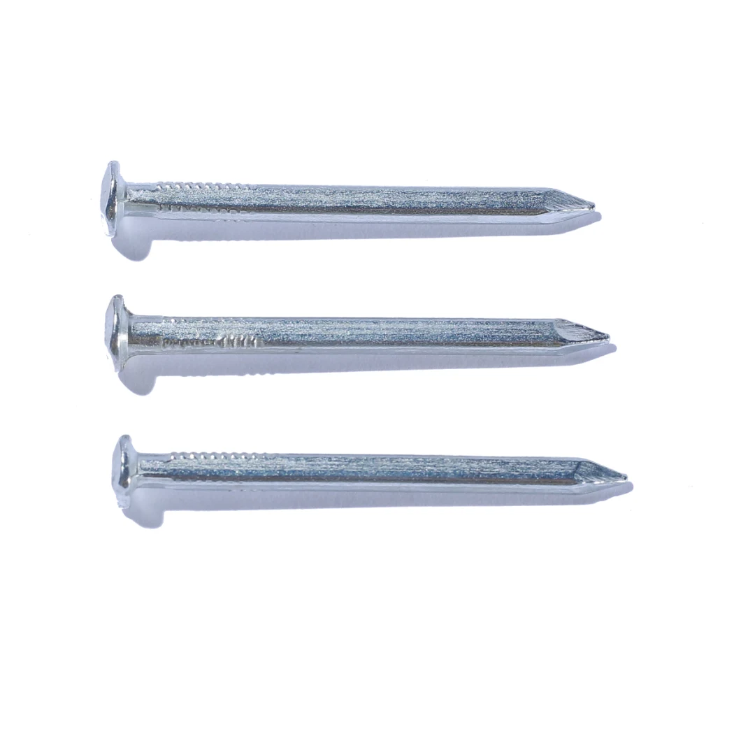 Philippines Singapore Market/Electro Galvanized Square Boat Nails Copper Nail for Boat