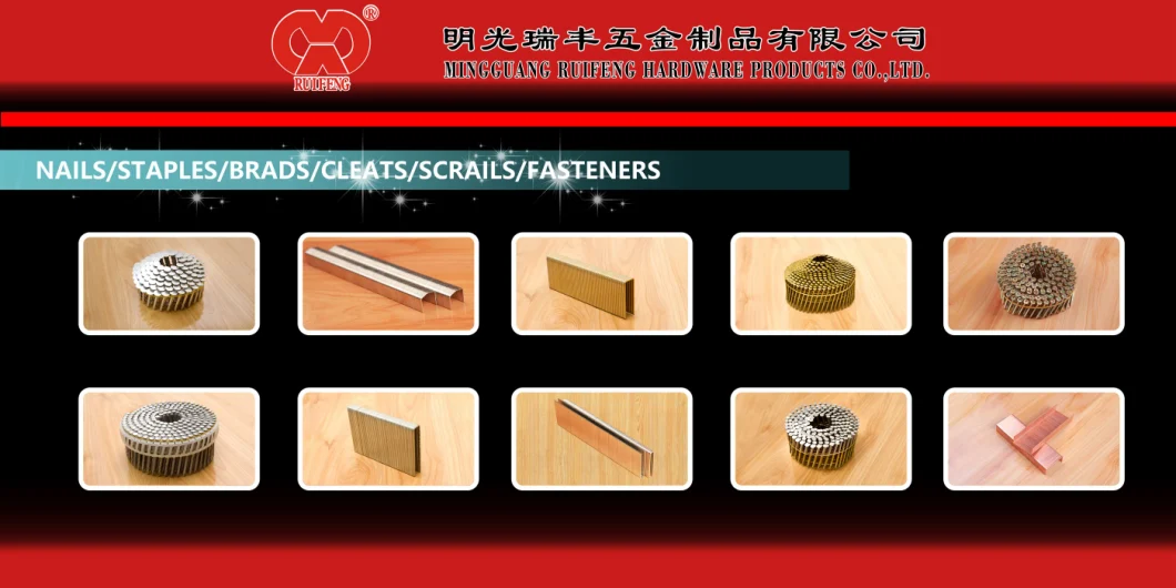 Pneumatic Gun Nails Professional Manufacturer Stainless Plastic Sheet Collated Nails.