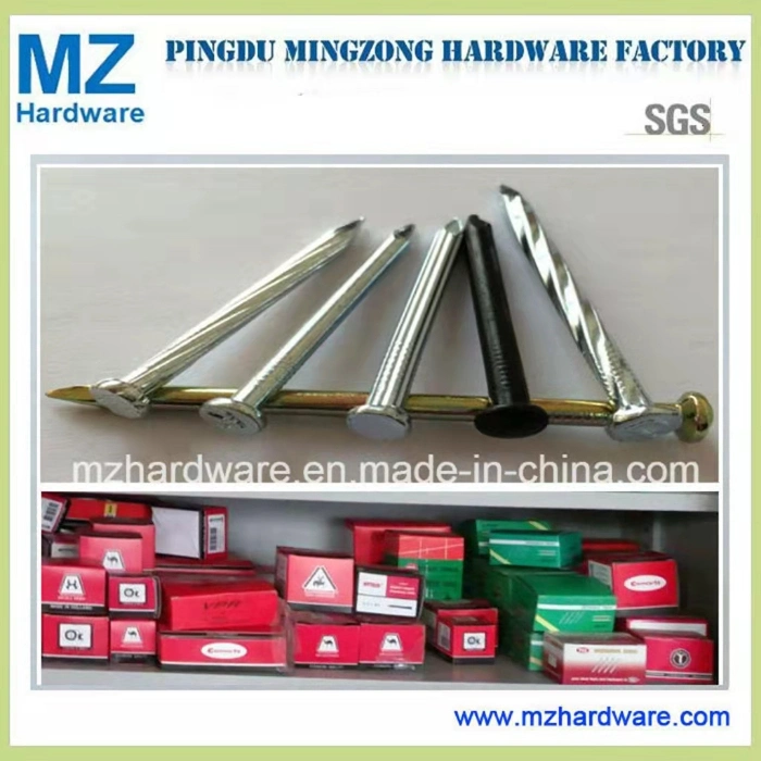 45# 9g 10g 12g 3/4" 1" 1.5" 2" 2.5" 3" High Quality Carbon Steel /Concrete Steel /Iron /Polished Wire /Common Round/Metal Nail for Building Construction