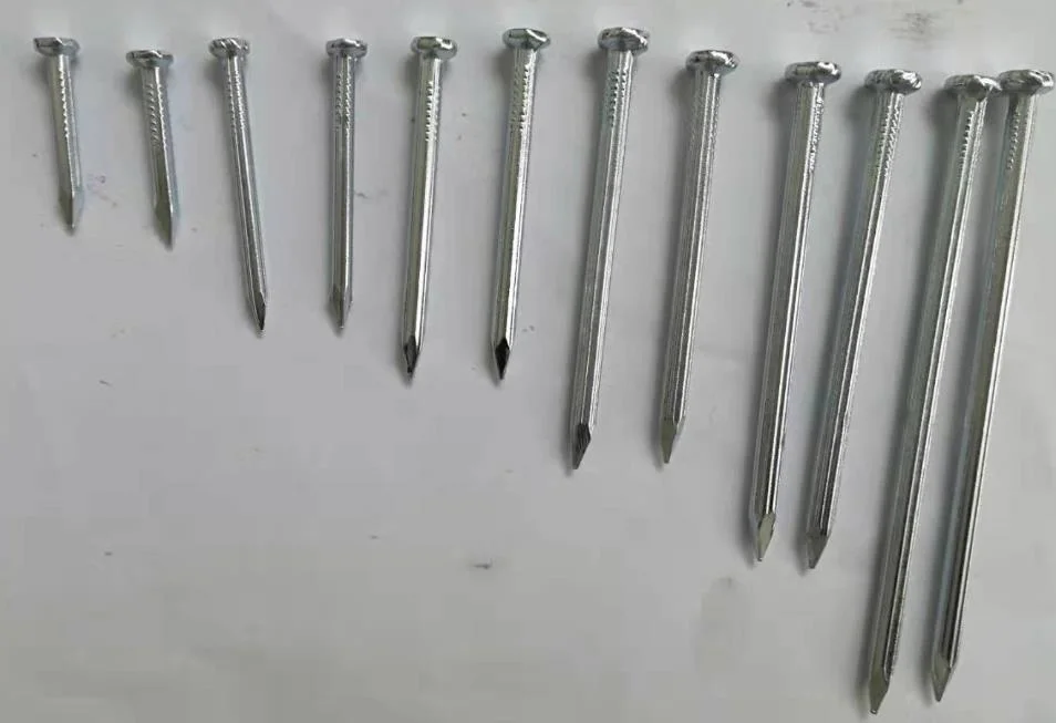 Cheap Price#45 #55 #60 1"-4" Black/Galvanized Concrete Nails for Africa Middle East and East South Asia Market