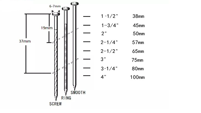 Wholesale Stainless Steel Iron Coil Nails for Pneumatic Nailer