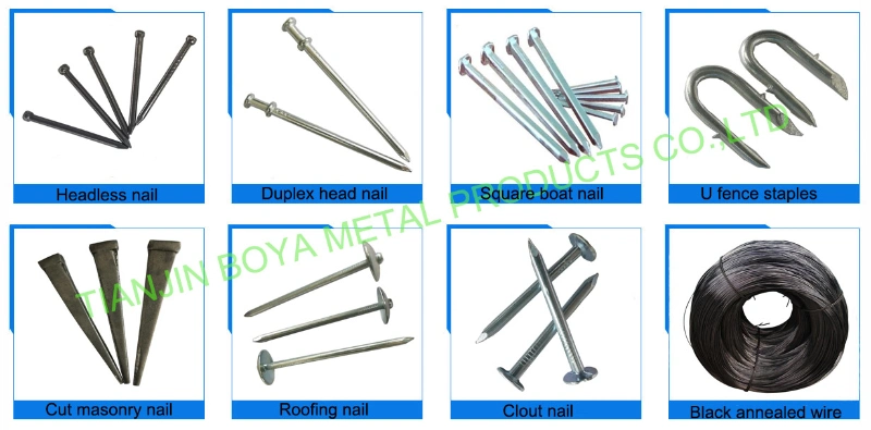 Hotsale Q195 2′′ 2.5" Polished Galvanized Double Head Nail Common Iron Nail