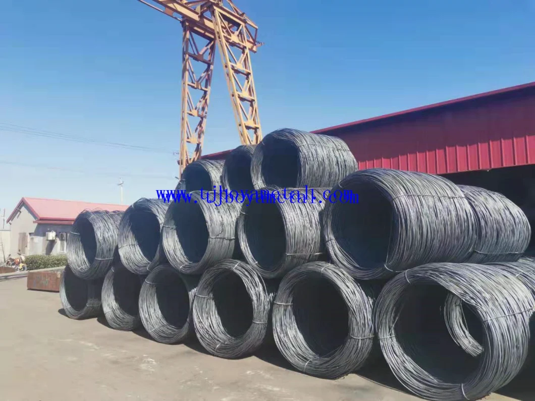 2.5mmx50mm Coil Roofing Pallet Nail for Building and Construction