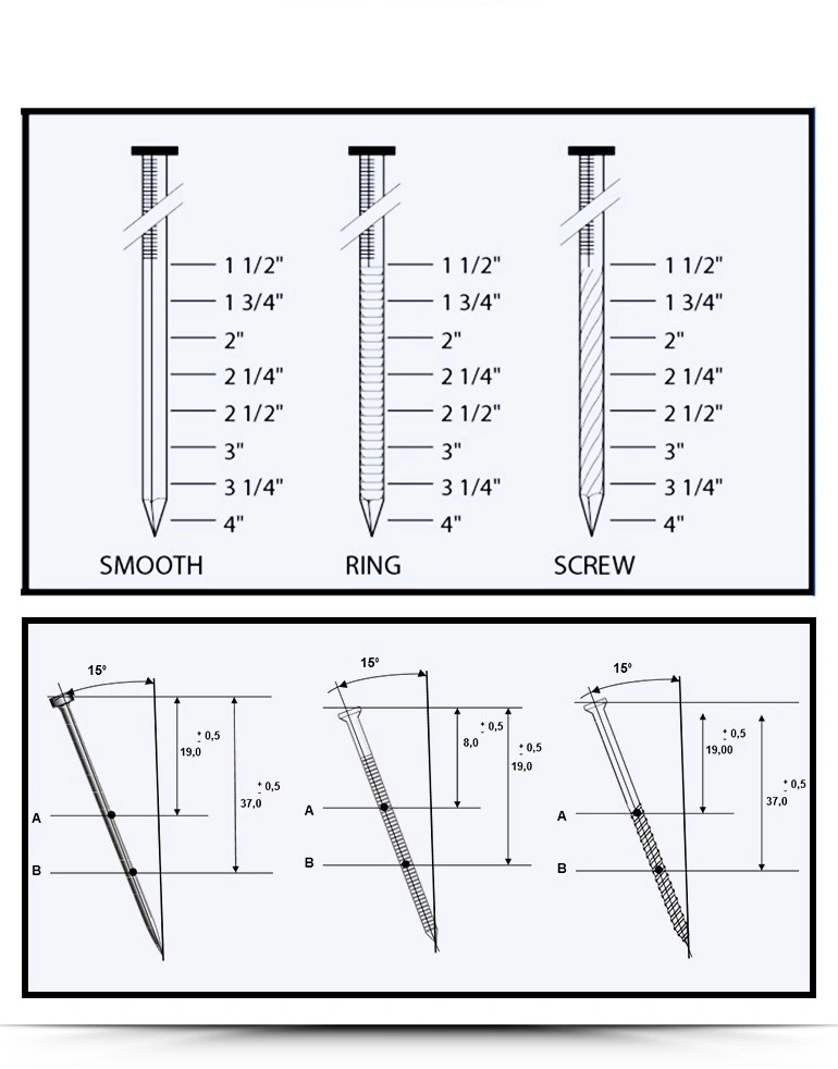 Electro Galvanized Smooth Shank Coil Roofing Nail Wholesale