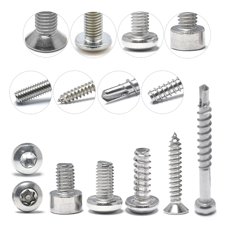 Stainless Steel 18-8 Torx Screw Pan Button Csk Head with Pin Torx Security Screw