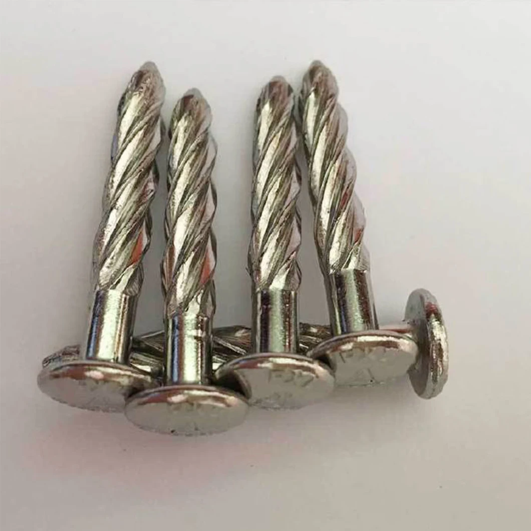 Bulk Purchase Screw Hook Nails/Screw Nails/Twist Nails Floor Nails Factory Price