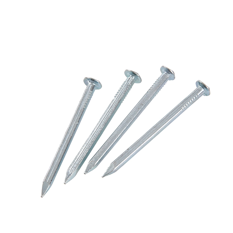 Vietnam Philippines Singapore Market/Electro Galvanized Square Boat Nails for Boat