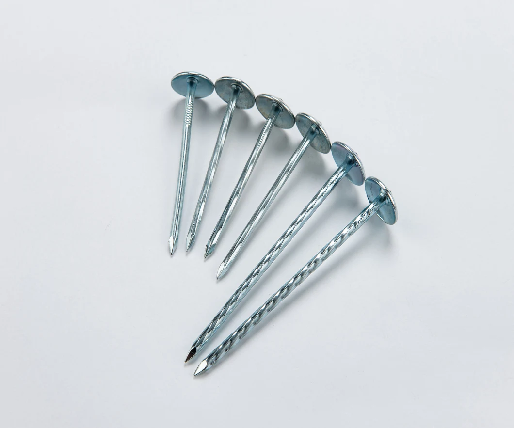 Hot Sale Twisted Shank Umbrella Head Corrugated Roofing Nails with Supplier From China