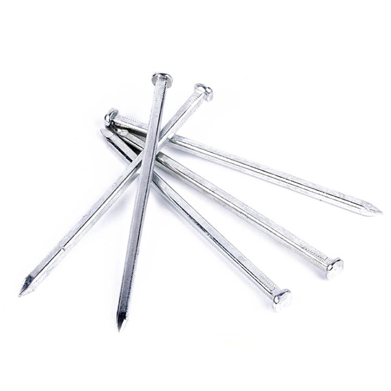 High Quality Galvanized or Hot Dipped Galvanized Square Boat Nail/Galvanized Square Nail for Construction From Tianjin China Factory