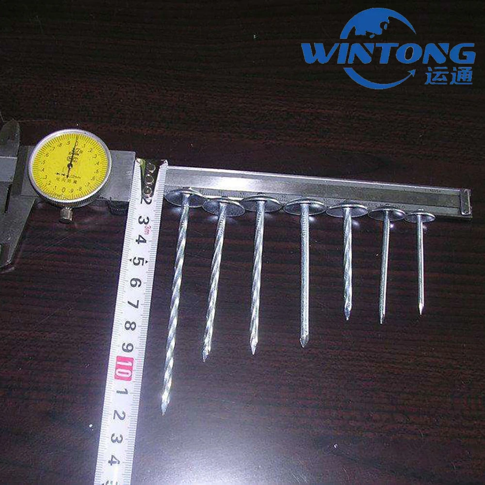 Galvanized Umbrella Head /Twisted Shank/Q195 Q235 Roofing Nail