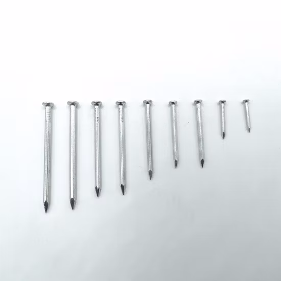 Fer/acier/ciment/commun/tête ronde/crochet/toiture/rouleau/tir/clous