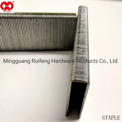 Ruifeng Industry 16ga N Series Galvanized Staple, Crown 0.42, Palettes en bois Coalltaed Nail dans l'Anhui.